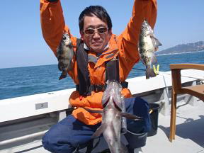 鳴門 メバル釣り