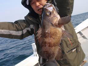 鳴門海峡 メバル釣り
