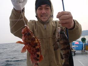 いかなご餌に メバル ガシラ釣り