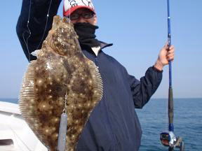 ヒラメ釣り