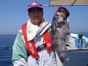 ソイ釣り