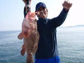 あこう アコウ釣り