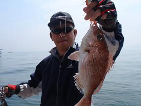真鯛釣り