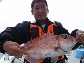 鯛カブラ 釣り