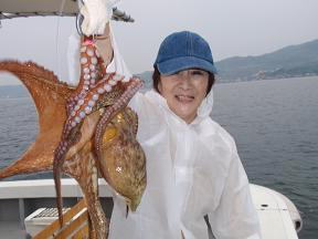明石たこ釣り