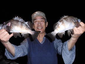 半夜 メバル釣り