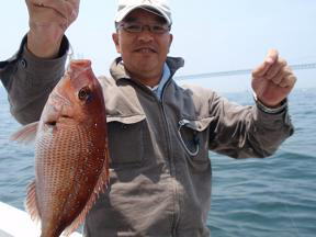 真鯛釣り