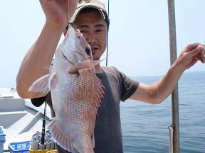 真鯛釣り釣果