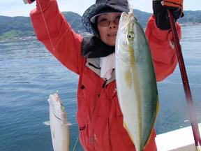 ハマチ釣り