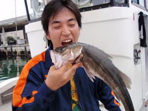 スズキ釣り