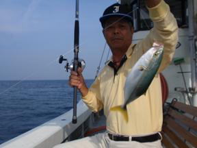 落とし込み釣り 青物