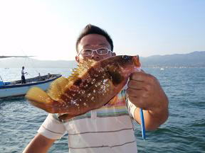 アコウ釣り