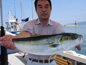 メジロ釣り