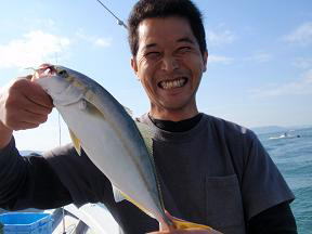 青物 ツバス