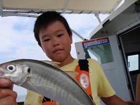 鯵釣り