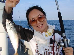 サビキ 鯵釣り