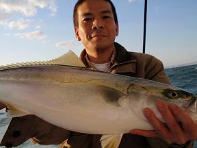 メジロ呑ませ釣り