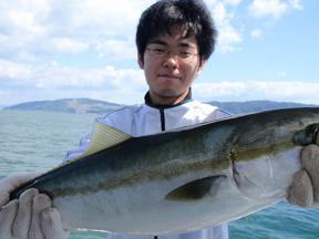 メジロ 呑ませ釣り