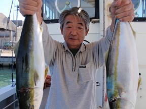 呑ませ釣り メジロ