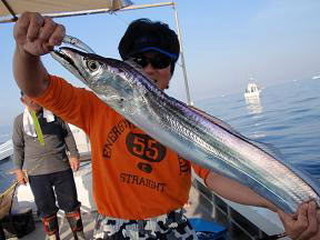太刀魚釣り テンヤ