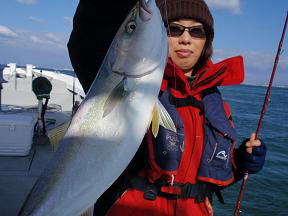 メジロ ハマチ釣り