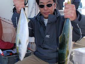ジギング ハマチ釣り
