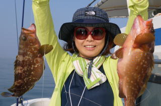 根魚　アコウ　食わせサビキ