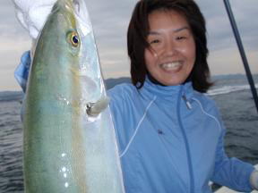 呑ませ釣 ハマチ
