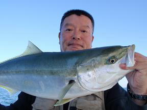 メジロ呑ませ釣り