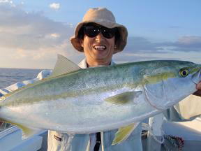 メジロ釣り