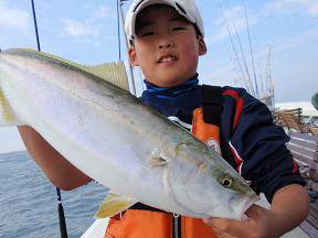呑ませ釣 ハマチ