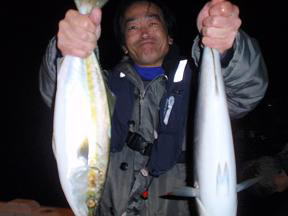 ハマチ 青物