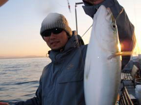 青物 ハマチ釣り