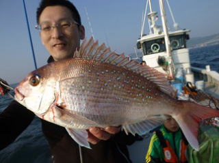 真鯛釣果