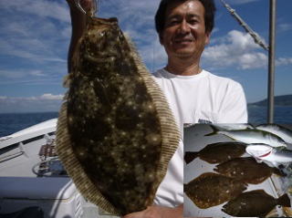 ヒラメ 喰わせ釣り