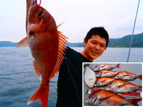 真鯛 落とし込み釣果