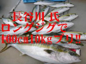 青物 ぶり メジロ釣果