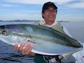 飲ませ釣り ブリ