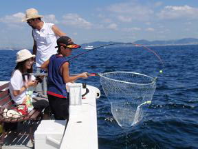 太刀魚 狙い