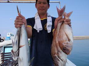 真鯛釣果