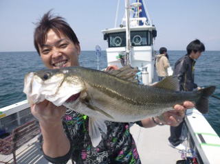 スズキ釣果