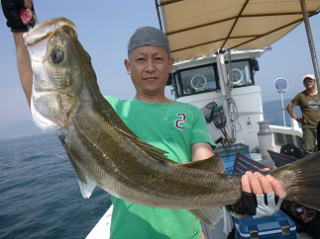 スズキ釣り