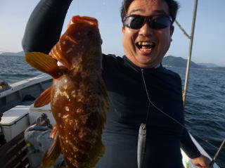喰わせサビキ アコウ