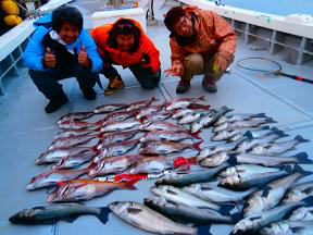 真鯛釣果