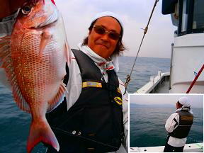 真鯛釣果