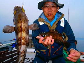 メバル釣り