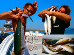 アジ たち魚 釣果