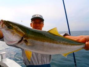 めじろ釣り