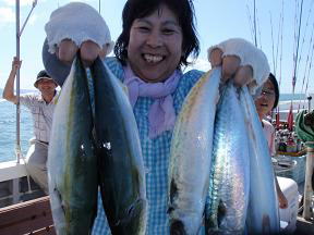 ハマチ サバ アジ釣果