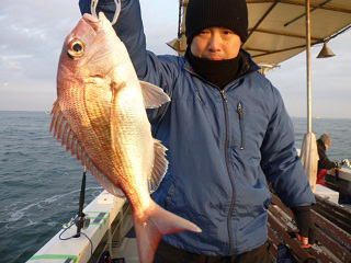鯛釣果
